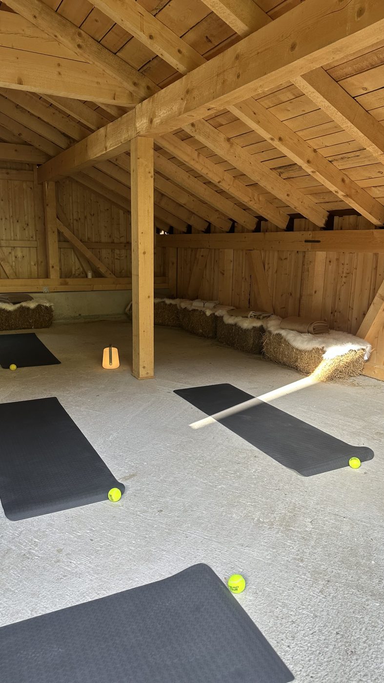 The movement and yoga space