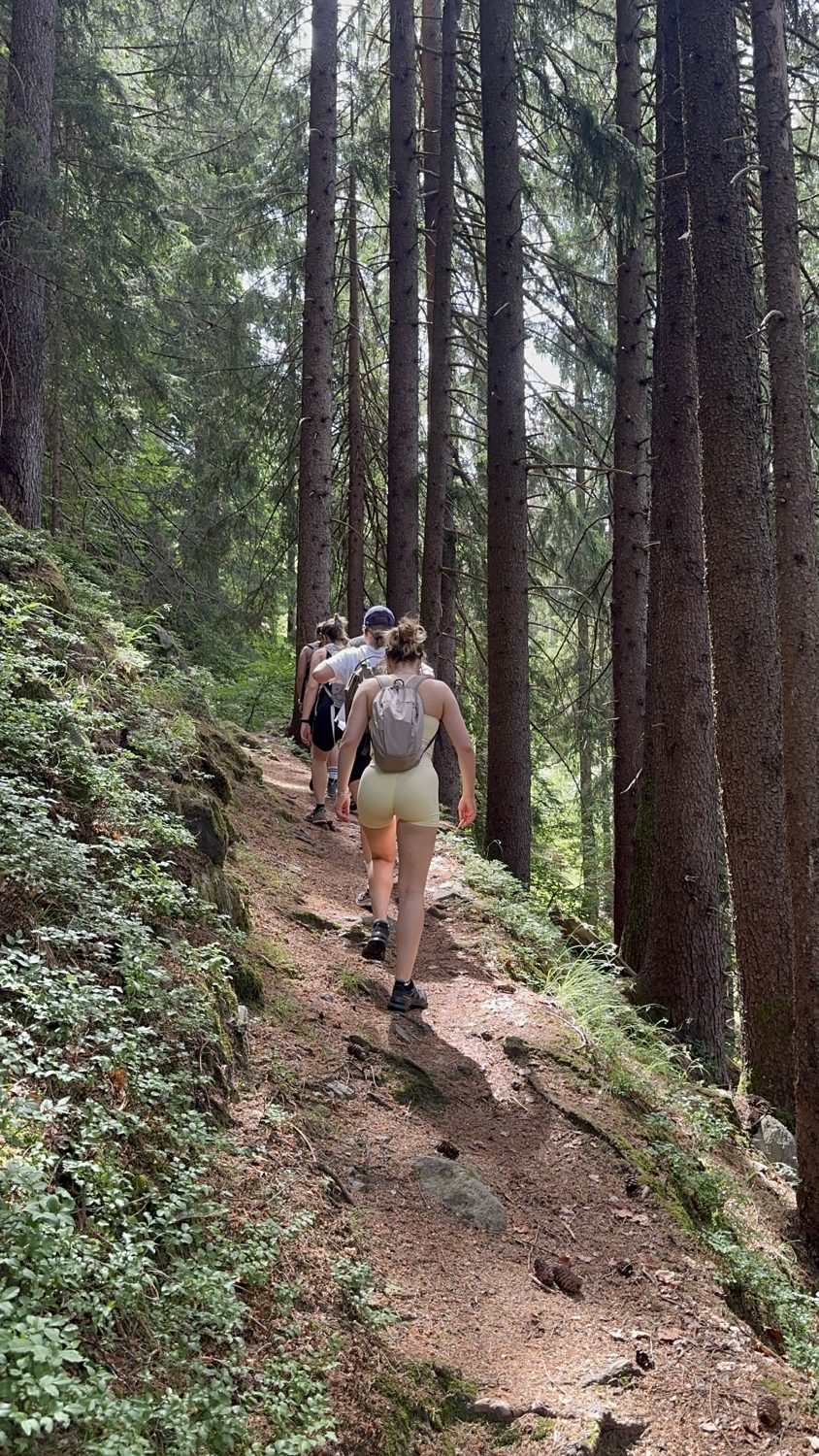 On the forest trail during the hike