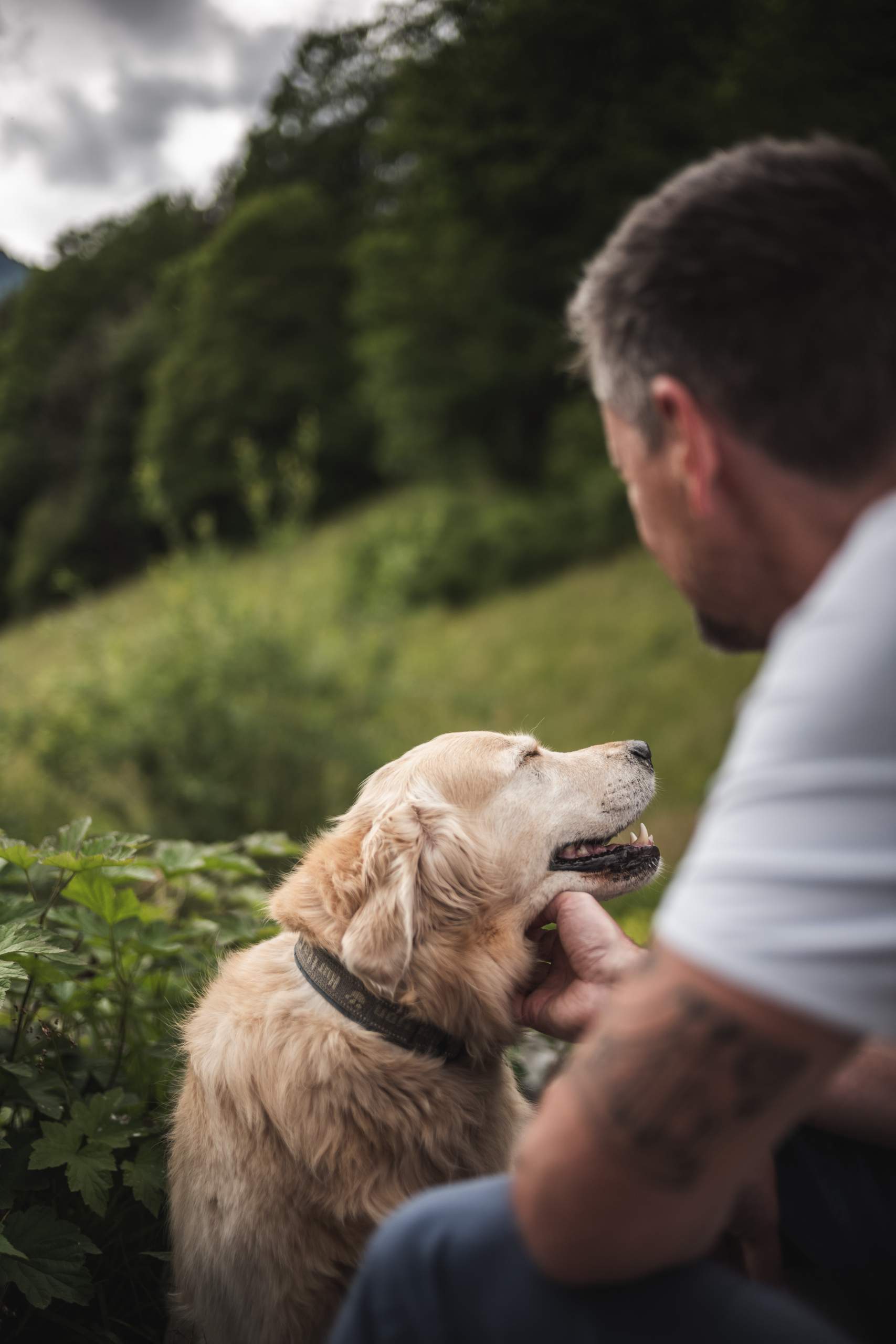 Tanafreida main view, Montafon